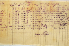 241