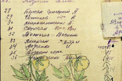 241