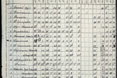 241