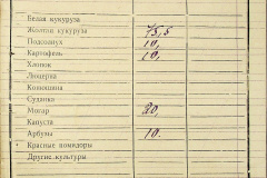 241