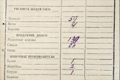 241