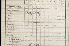 241