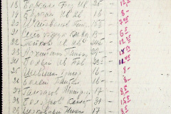 241