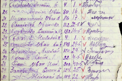 241