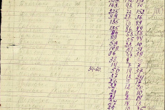 241