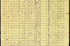 241