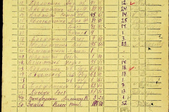 241