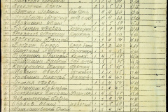 241
