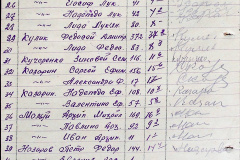 241