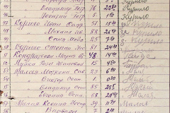 241