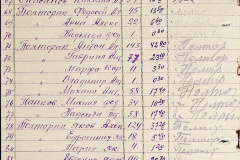 241