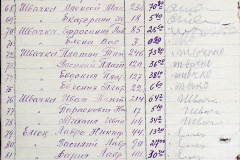241