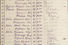 241