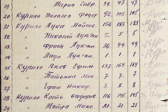 241