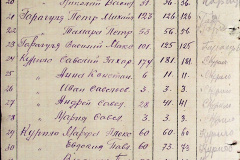 241