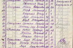 241