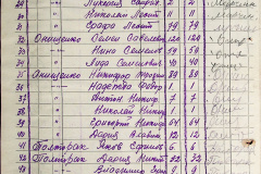 241