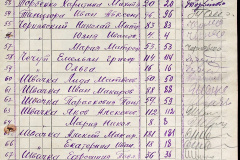 241