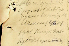 241