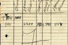 241