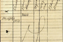 241