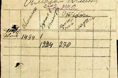 241