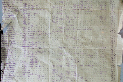 241