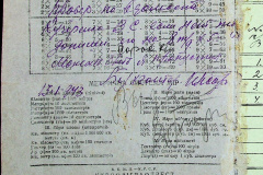 241