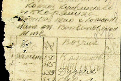241