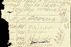 241
