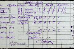 241