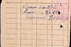 241