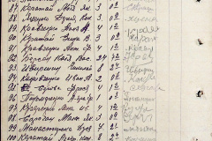 241