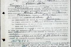 241