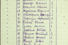 241
