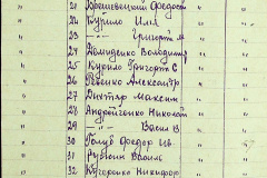 241