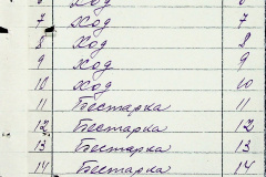 241