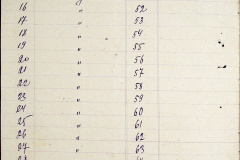 241
