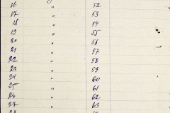241