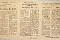 241