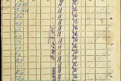 241