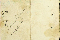 241