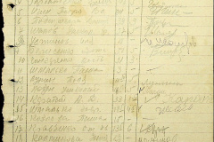 241