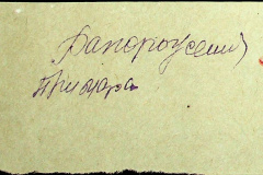 241
