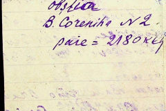 241