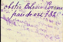 241