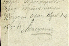 241