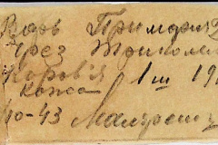 241