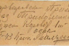 241