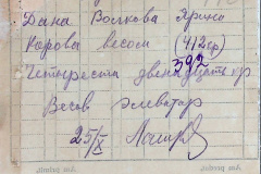 241